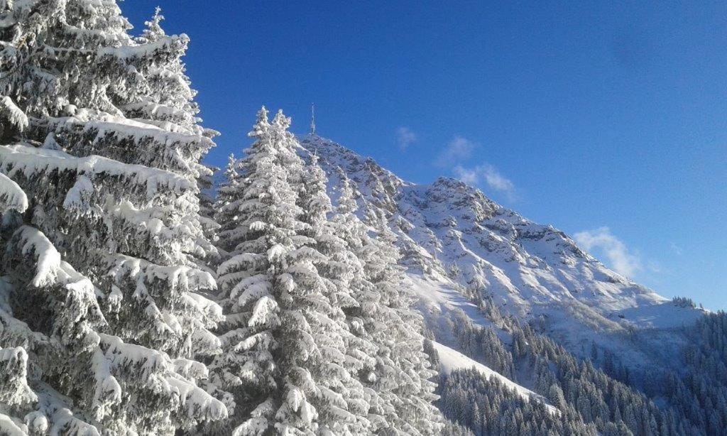 Hotel Landhaus Almdorf Sankt Johann in Tirol Esterno foto